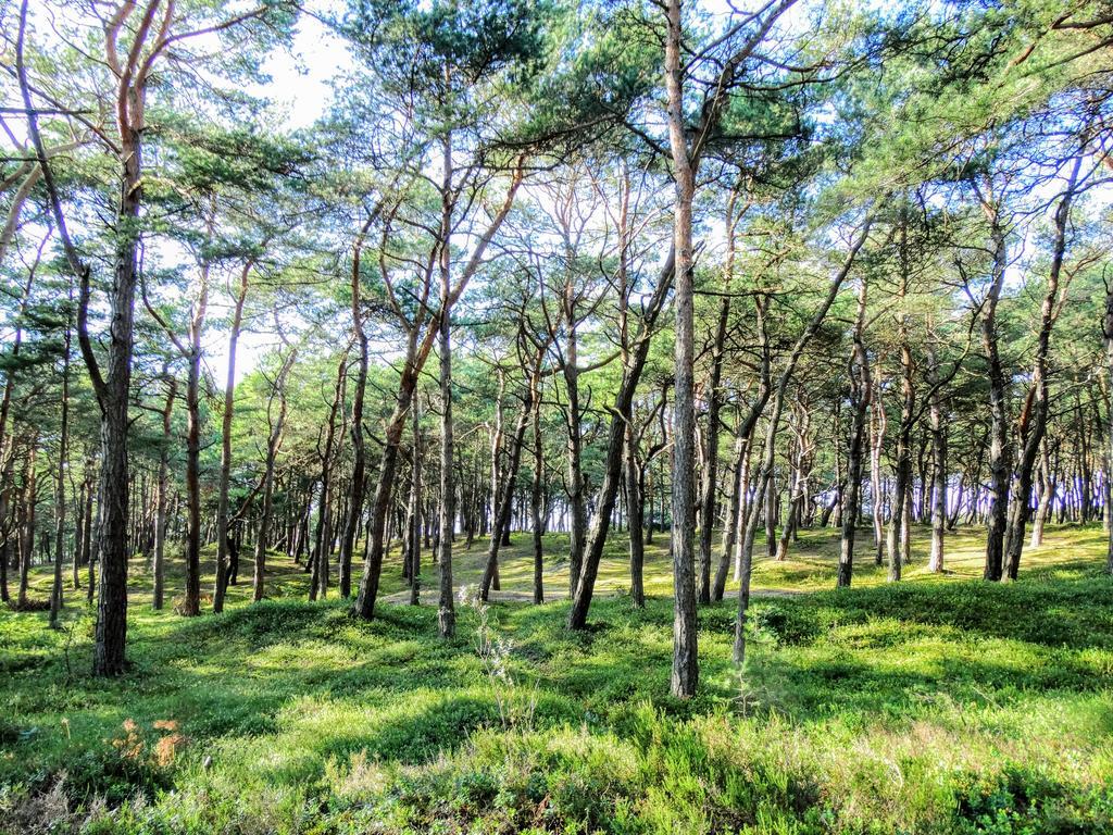 Domek Letniskowy Grazyna Villa Kopalino Luaran gambar